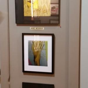 Carla Strozzieri is participating in the group art show "Shimmering" at the Gallery Ava, in Calicoon, NY.