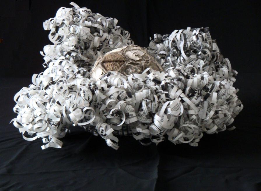 IL CAVOLO PERMANENTE DI WILSON