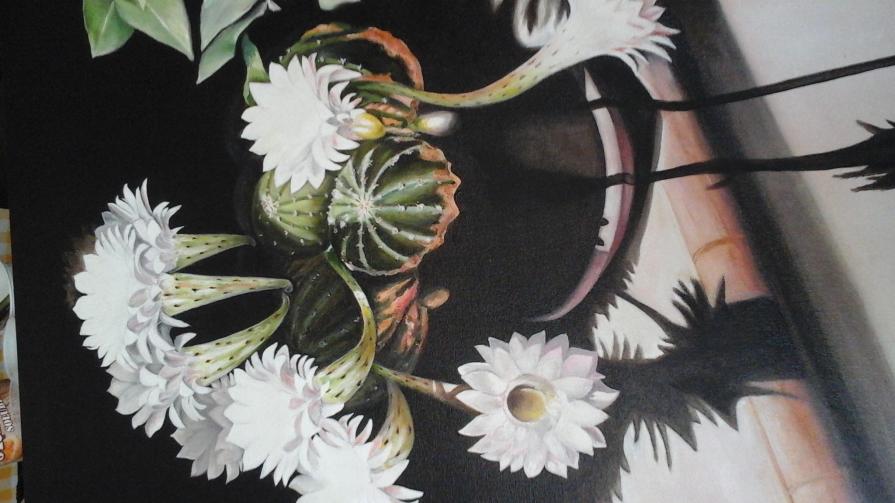 Pianta grassa con fiori