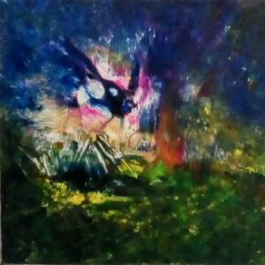 Notte serena e stellata.