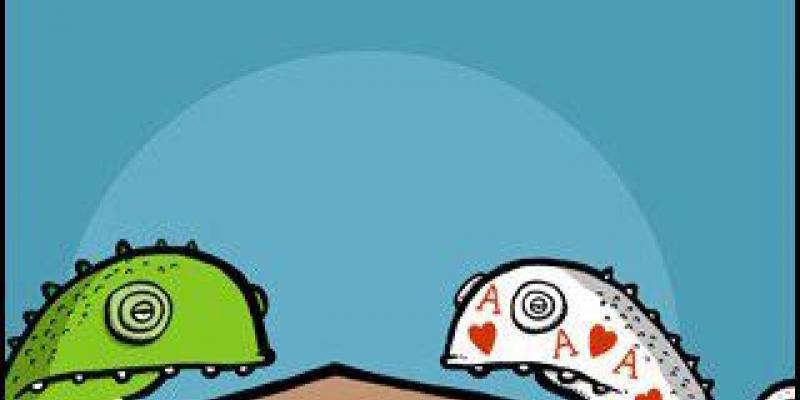 COLORA IL TUO CAMALEONTE! COLORA IL TUO CAMALEONTE!