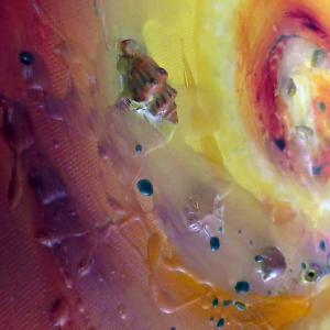 NUOVO EVENTO SABATO 22 ALLE ORE 18.00 ALLA PERSONALE DI BARBARA GHISI A MODENA 