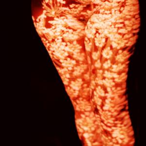 FINISSAGE 30 APRILE. FUORI SALONE 2016. ARTISTI: Silvia Abbiezzi, Armando Tinnirello & LabMilano. ARTITUDE è arte, design, fotografia e food content FINISSAGE 30 APRILE. FUORI SALONE 2016. ARTISTI: Silvia Abbiezzi, Armando Tinnirello & LabMilano. ARTITUDE è arte, design, fotografia e food content