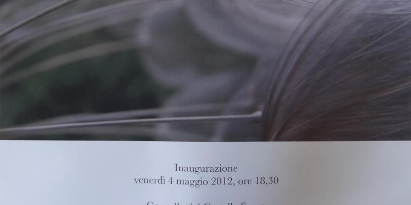 Ofer MizraChi “Il fascino segreto della natura” a cura di Antonella Colaninno Ofer MizraChi “Il fascino segreto della natura” a cura di Antonella Colaninno