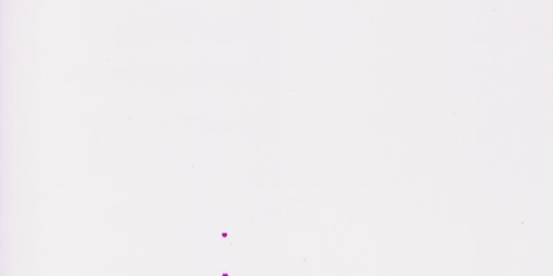 COLLEZIONE ARTE CONTEMPORANEA