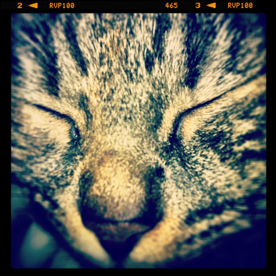 mySister (Instagram' Project) mySister (Instagram' Project)