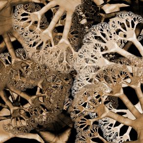 Light Work Light Work