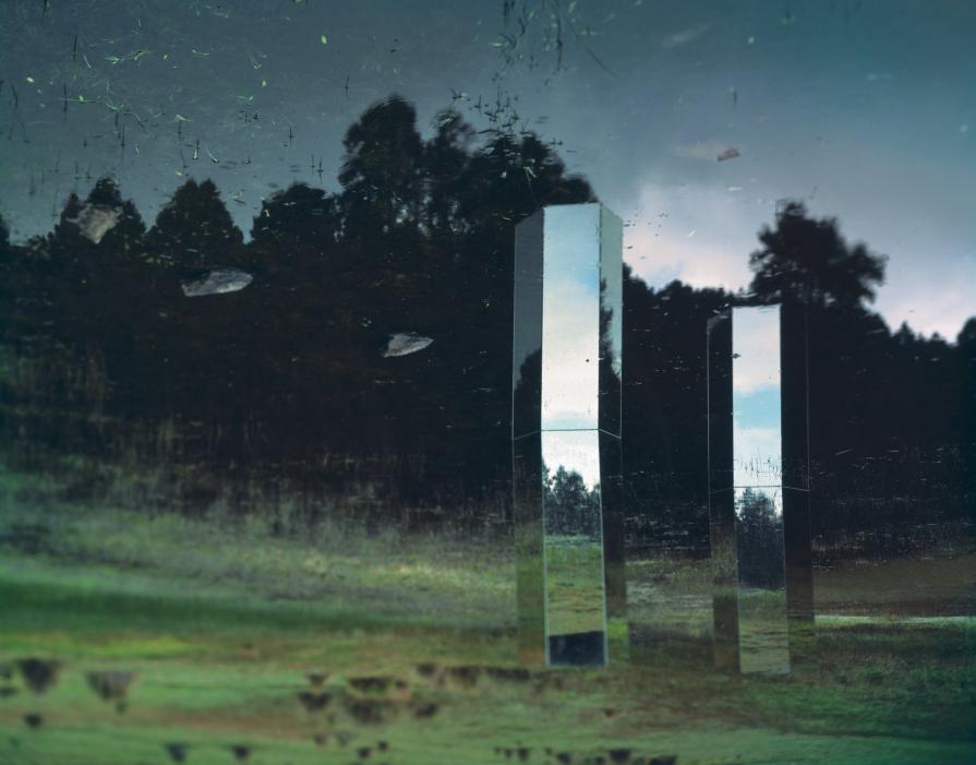 Non-Reflex_2 Non-Reflex_2