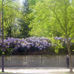 Le printemps à Paris