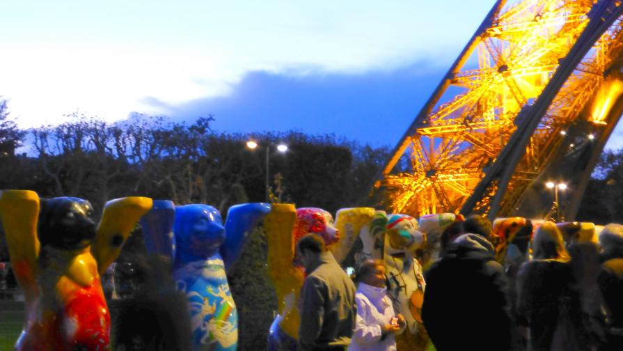 Les ours de la tolérance 