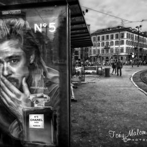 Waiting for the Number 5 (TramLIne)