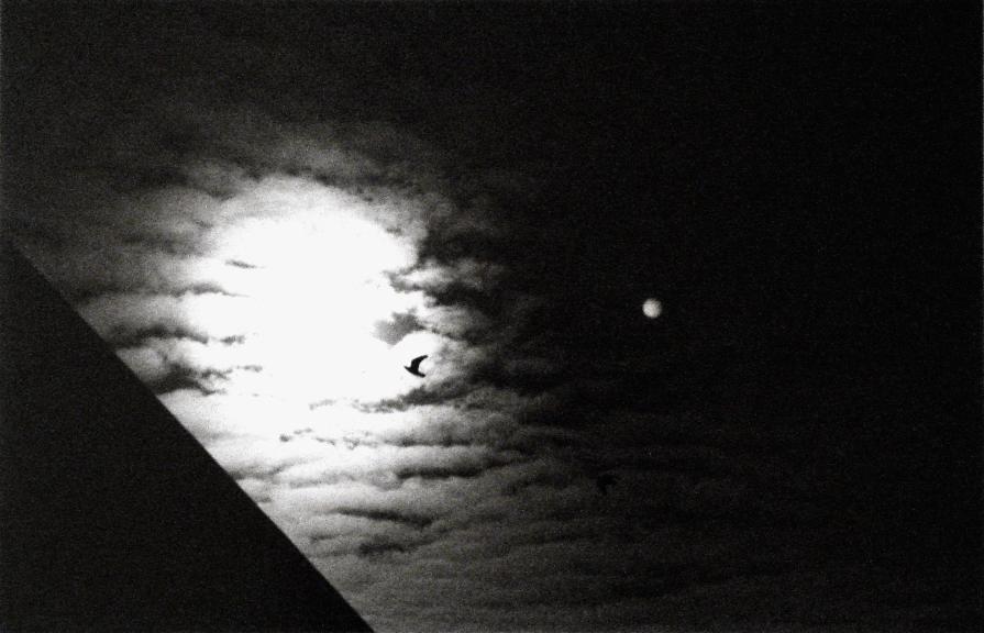 VITA FUORI E DENTRO - N. 11