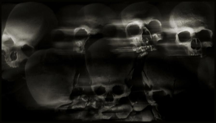 Skulls (Skull, Teschi, Teschio) - fotografia di Augusto De Luca. 38