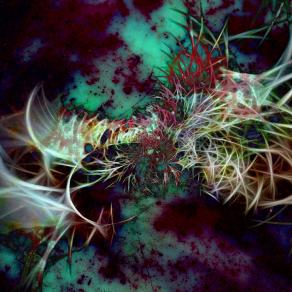 Solo, nel disastro della vita 