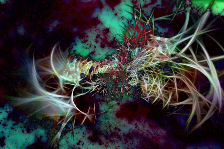 Solo, nel disastro della vita 