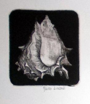 mauro lisardi - Conchiglia - acquaforte su rame - 2013