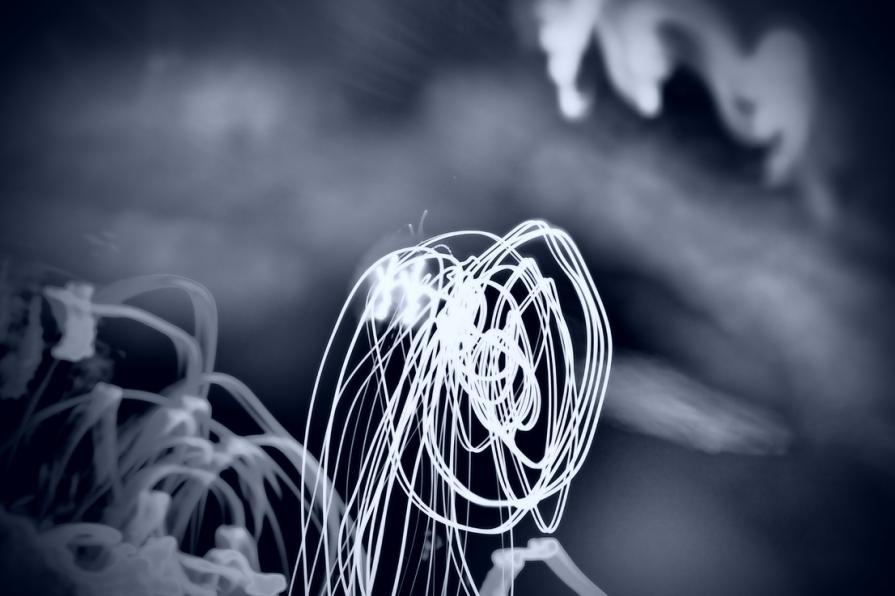 Il lavoro silenzioso degli angeli   ( The silent work of angels ) 