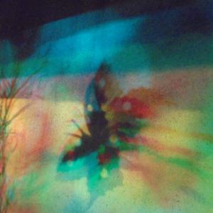 I colori della biodiversità -2016