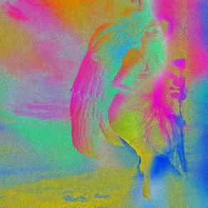 . . . CREDI IN ME E TI FARO' SPICCARE IL VOLO !!! . . . 