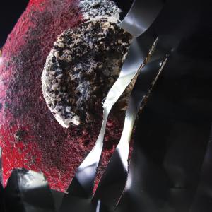 PARTICOLARE PARTICOLARE