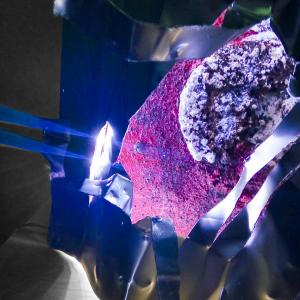 PARTICOLARE PARTICOLARE