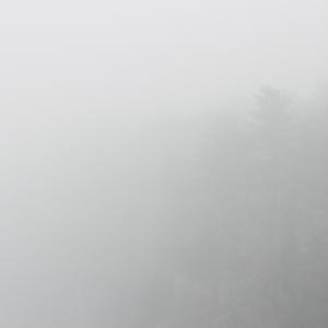 Nature in conflict (Massimo Goina e Fabiola Faidiga)