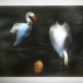 Il pane è lì non sotto. 