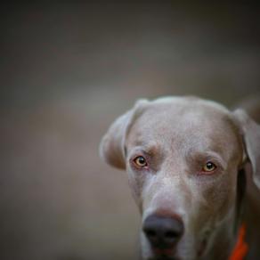 Un attimo di bellezza...