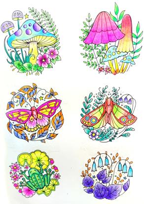 La magia dell'ottimismo...!!!