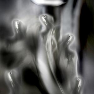 LE CITTA' INVISIBILI. 2015