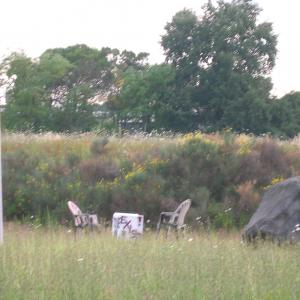 TO BE OR NOT TO BE???EXIST!!!! 