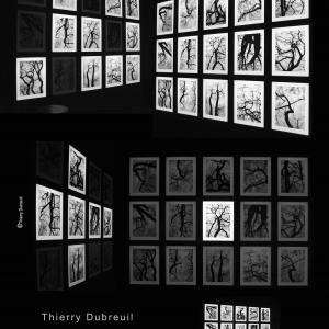 Spirits of the tree Spirits of the tree