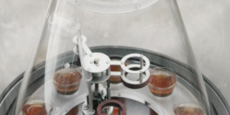 stARTers con Stefan Schwabe stARTers con Stefan Schwabe