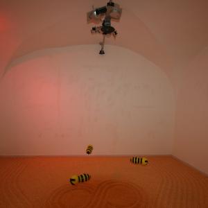 " BIOUNICITA' " di Vito Mazzocchi