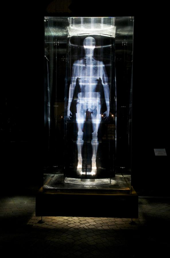 La memoria del dolore La memoria del dolore