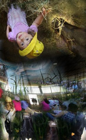 il mondo è un luogo meraviglioso e stupefacente.