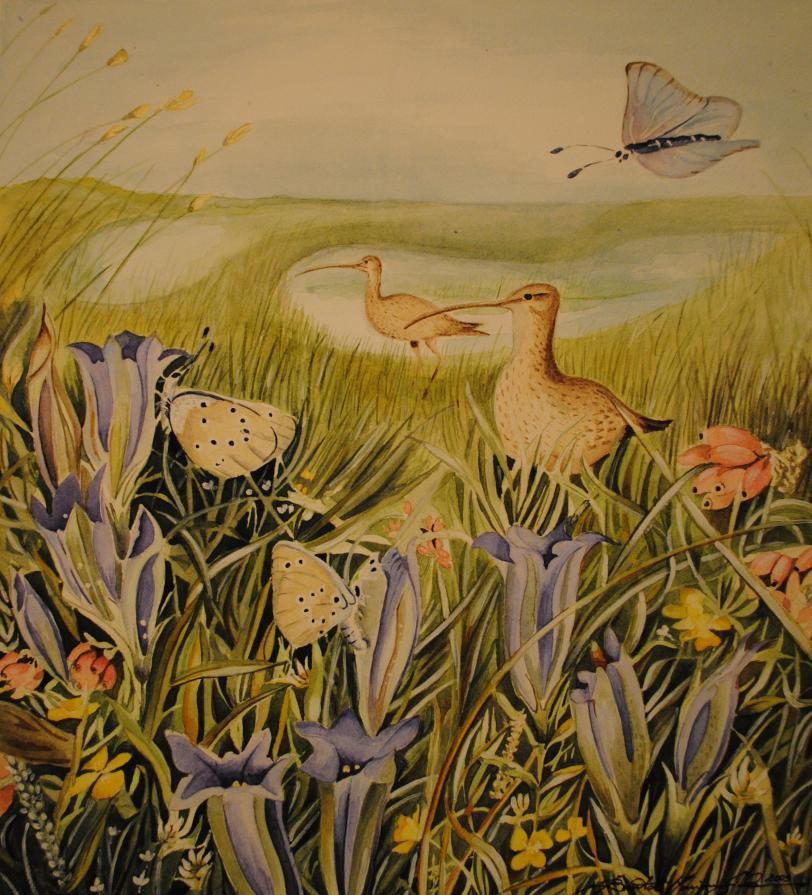 tributo a Marjolein tributo a Marjolein