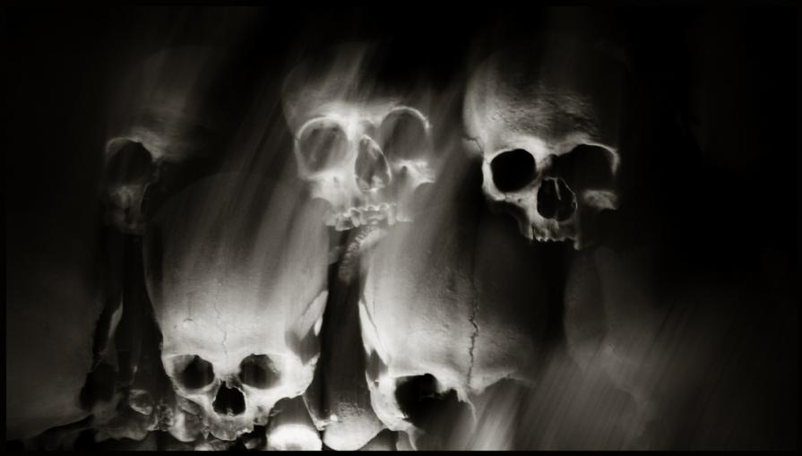Skulls (Skull, Teschi, Teschio) - fotografia di Augusto De Luca. 10