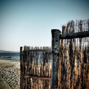 Emozione di fine estate