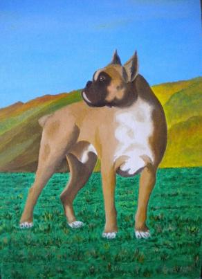 LG 0270 - Sherman, il boxer