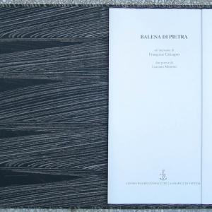 Balena di pietra