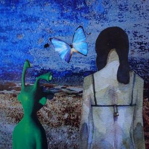 Guardando una farfalla