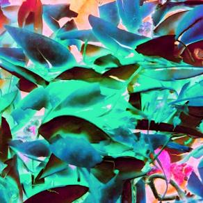 Fsofsefsafsafsifsefsa