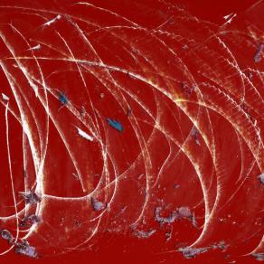 mille piedi in movimento.