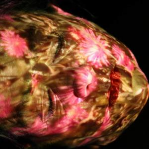 Art Take Miami Emerging Talent 2013 Art Take Miami Emerging Talent 2013