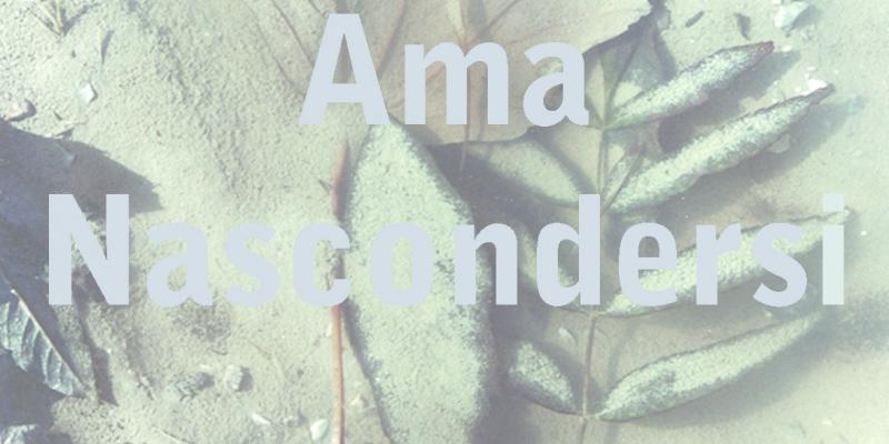 La natura ama nascondersi La natura ama nascondersi