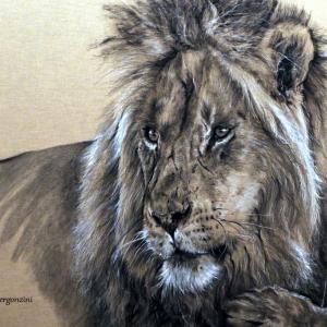 ANIMALS ART al Club La Meridiana di Modena