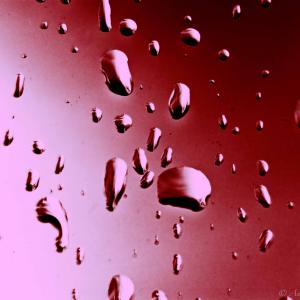 MACRO&STILL LIFE MACRO&STILL LIFE