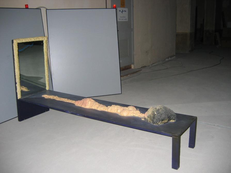 Zia Censa in decomposizione