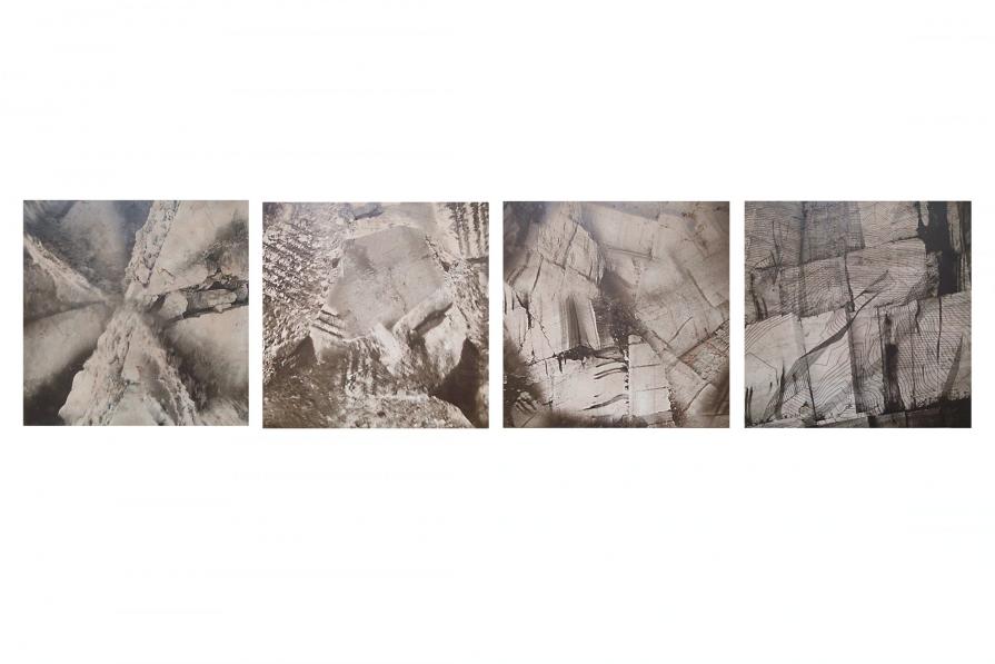 Progetto di coltivazione della rOsa Progetto di coltivazione della rOsa